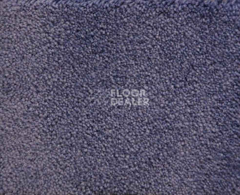 Ковролин Radici Lord Lavanda 246C фото 1 | FLOORDEALER